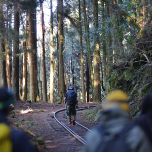 周周走不動的頭像