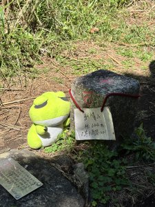 天母古道 + 紗帽山