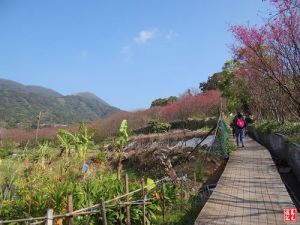 【台北市】風尾步道、十八拐圳道、東昇步道