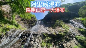 阿里磅瀑布 陽明山第一大瀑布 動植物生態豐富 原始森林步道  消暑幽靜 療癒紓壓 的好路線