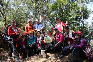 坑底山+金山面山連走金面山、十三分山、山麻坑山