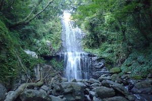 就是愛趴趴跑 --- 【2017.7.22 輕旅漫遊爬山趣之雲森瀑布、逐鹿山】