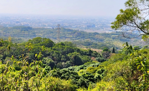 彰化坑子內山，桃源里森林步道，龍鳳谷森林步道