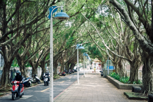 虎頭山步道