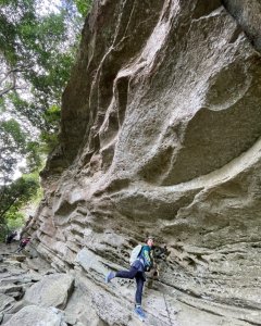 三峽-金敏子山-詩朗山-塞口坑山-內金敏子山四山O型