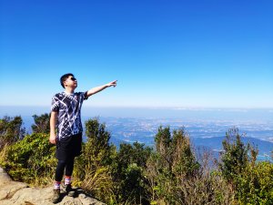 蒐集鳥類山系_關西外鳥嘴山_2020/11/15