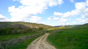 法國之路（D13）Burgos－Hornillos del Camino