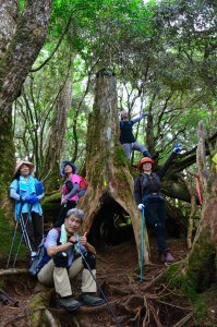 魔幻森林塔曼山