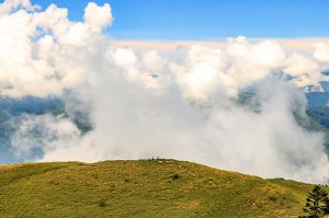 人生第二座百岳 : 合歡西峰~泣~