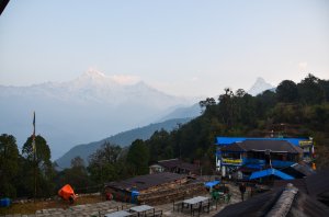 魚尾峰基地營健行路線（Mardi Himal）- Day.2 森林營地
