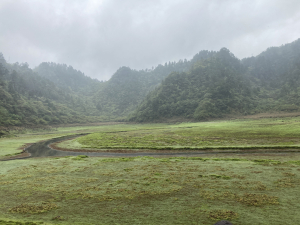 塔魔巴棲松兩天一夜(大眾運輸)