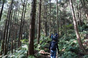 鵝公髻山X山上人家