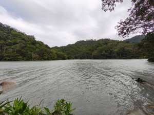 雙石縱走 + 石門水庫楓林步道