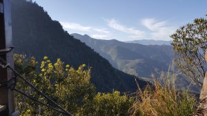 北得拉曼巨木步道登內鳥嘴山