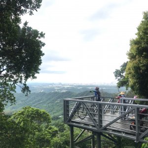 林梢步道