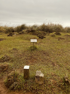 解鎖磺嘴山翠翠谷