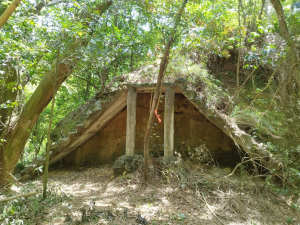 [台北士林][九]聖人崙(聖人瀑布頂)、尾崙山、圓山仔山東南、圓山仔山