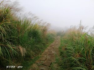 霧鎖山頭~台北市第一高峰。 編號02小百岳七星山