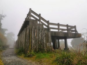 太平山 - 翠峰湖環山步道 - 2020/1/11