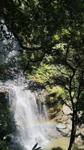 20260524雲森瀑布秘境