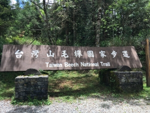 台灣山毛櫸國家步道