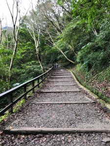 新北 三峽 滿月圓國家森林遊樂區