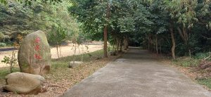 坑內坑森林步道.彰化二水