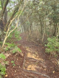 高島縱走