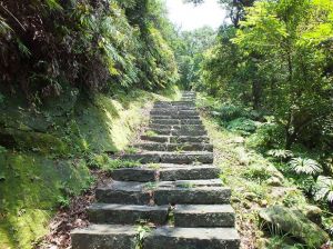 滴水觀音登山步道