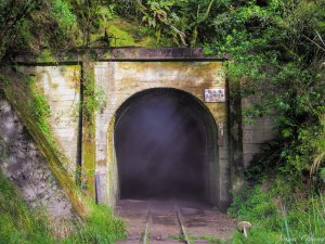 [嘉義]眠月線訪石猴