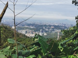 猴山岳萬壽路登山口-猴山岳-林家草厝-猴山岳山腰路-泰元農場 踽踽獨行