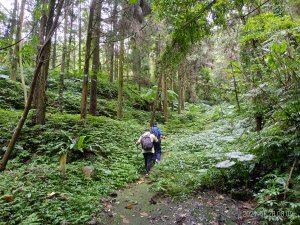 [新竹橫山] 比來山(尖筆山)