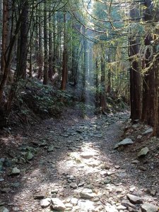 南藝山社石山秀湖/溪南鬼湖兩天一夜行程紀錄