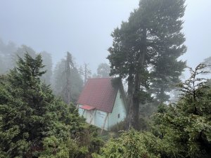 一日小O聖 2024 11/22