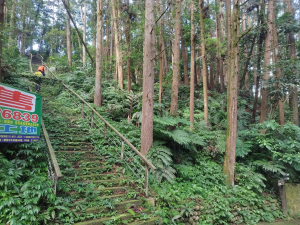 [苗栗南庄][一]茶園坪山、東村山、橫屏背西南峰、橫屏背南峰、橫屏背山、蕃婆石山北峰、蕃婆石山、上坪、烏蛇山