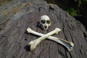 【屏東】枋山溪溯登(轉新都驕溪)～航向偉大的航道