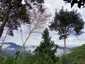 雲霧、晚霞、彩虹三箭齊發的羅山林道北線、油羅山 H1764m (巧遇野孩子小樂)