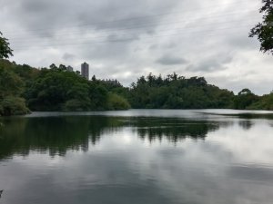 汐止區小南港山(橫科山)+白匏湖+白匏湖山+白雲古道