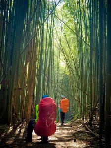 霞喀羅國家古道 石鹿 - 養老段  放下緊箍咒 處處是淨土