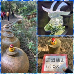 桃園-內壢古蹟走讀-虎頭山大環線連峰-羊稠連走五酒桶