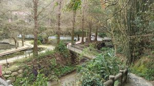 風光明媚，悠閒散策∥九芎湖步道群