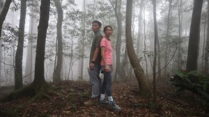 油羅山登山健行趣(第223篇旅記分享)