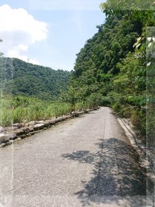 步道巡訪員 l 九寮溪自然步道６月巡訪日誌