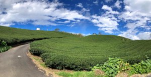 2024-11-24 二延平隙頂山