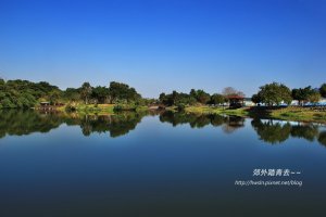 【桃園】大溪橋畔野草花：三坑老街鐵馬遊蹤~~