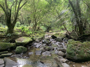 平溪子山、畝畝山、石硿子瀑布、灰窯瀑布(望古車站)
