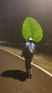 隧道之上，基隆河之源