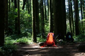 水田林道登那結山