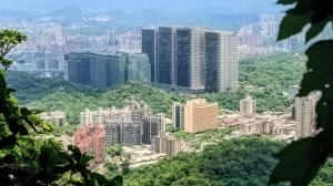 汐科