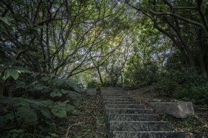 2020-4-27樹林青龍嶺-大棟山-大同山